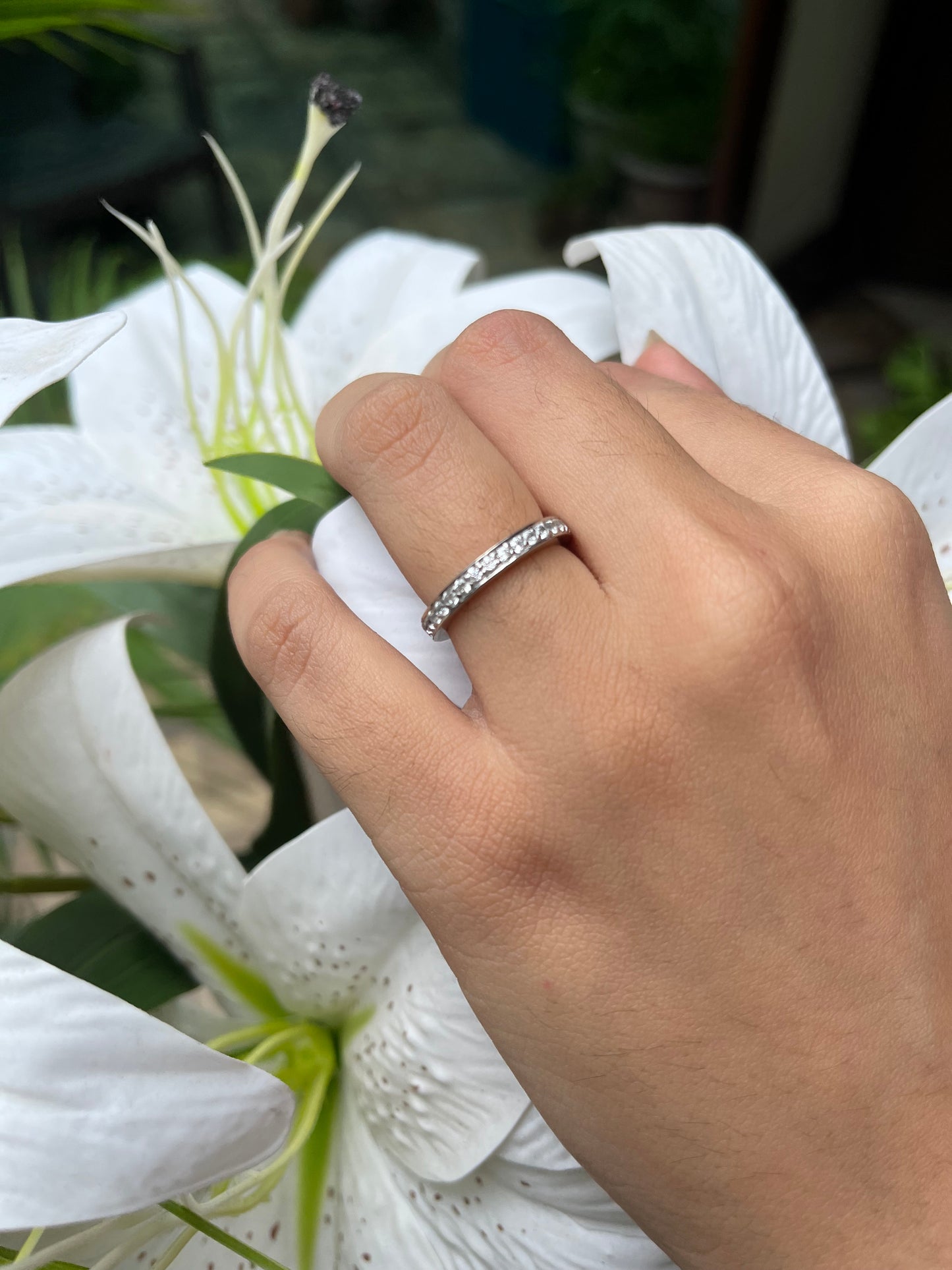 Silver Beauty - Set of Two