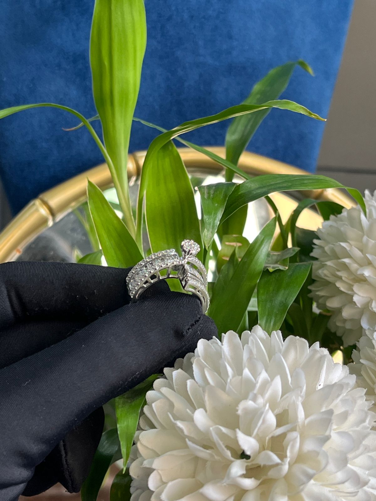 Sophia Ring