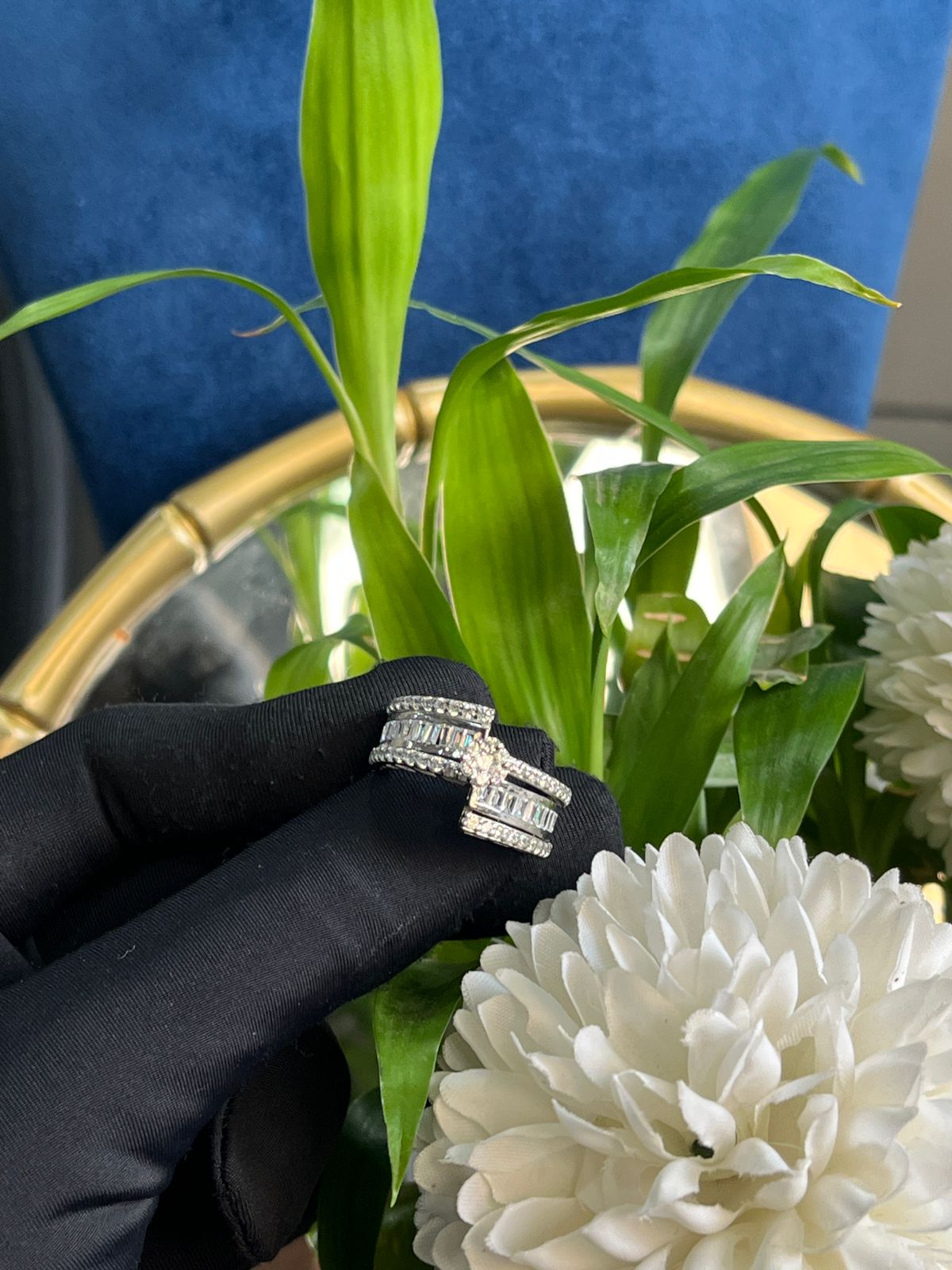 Sophia Ring