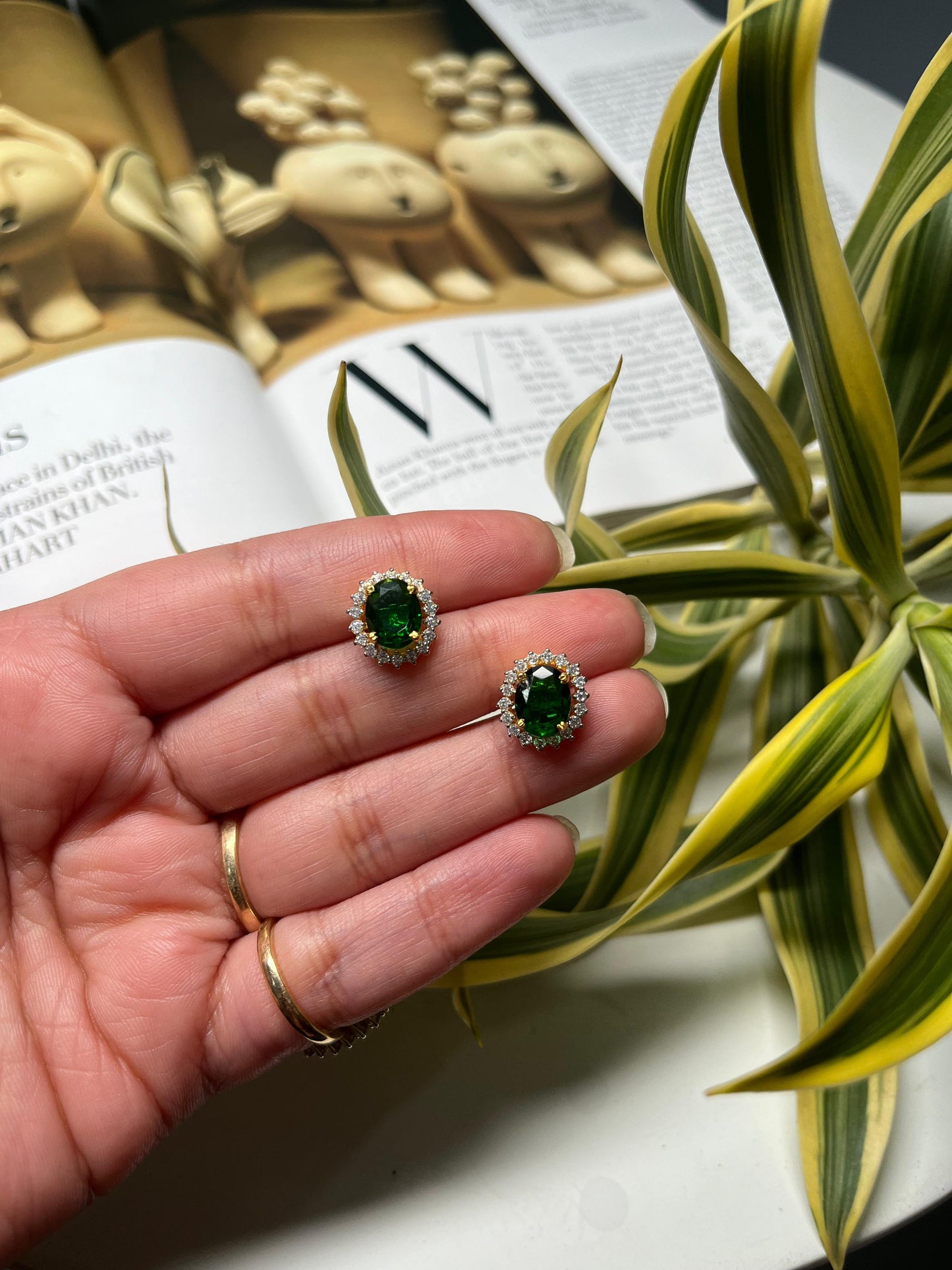Diana Earrings (Non - Changeable)