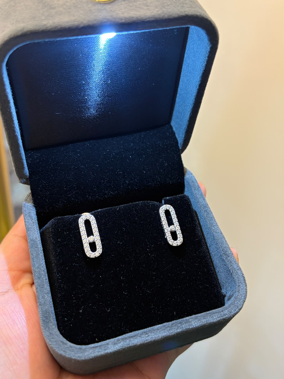 Branded mess earrings