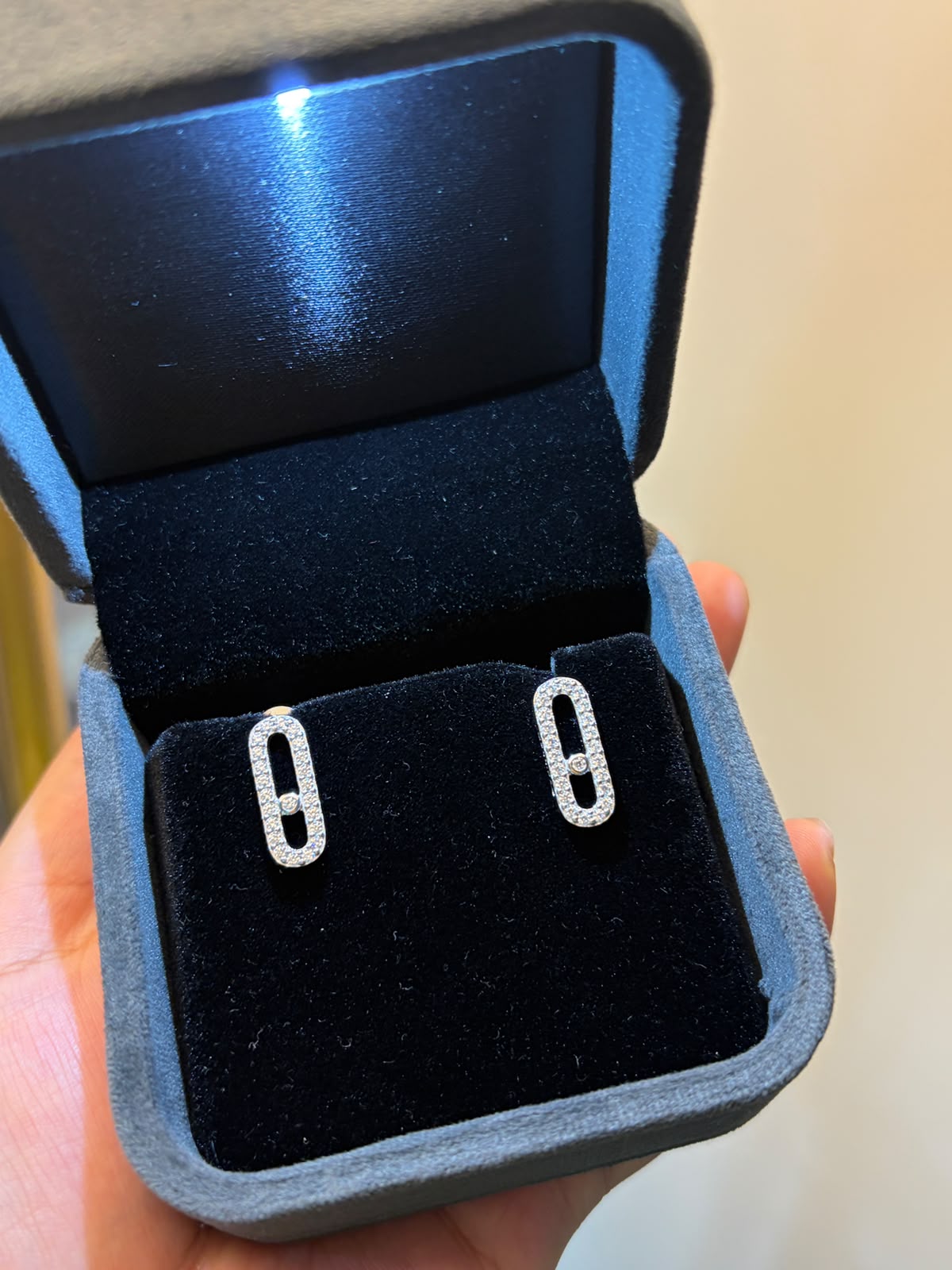 Branded mess earrings